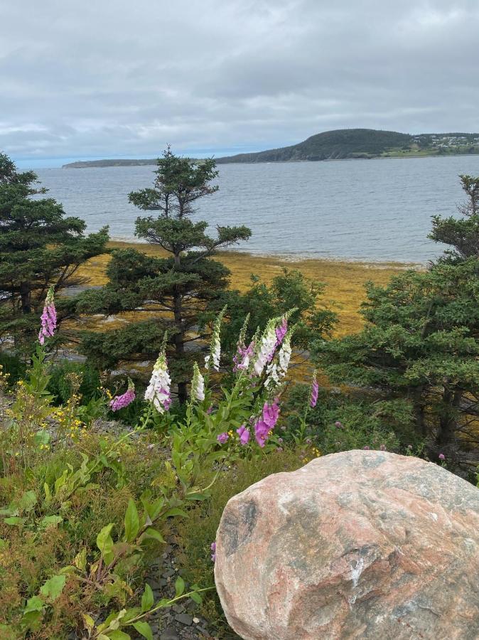Rocky Harbour Oceanfrontヴィラ エクステリア 写真